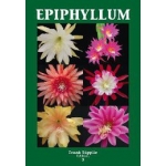 Nieuw: Epiphyllum 3